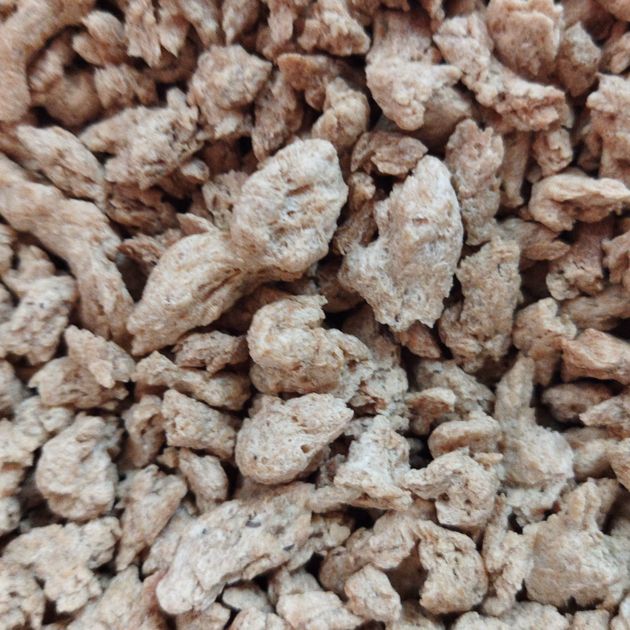 سویا  بسته بندی یک کیلویی و آماده طبخ 