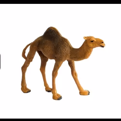 
فیگور شتر

