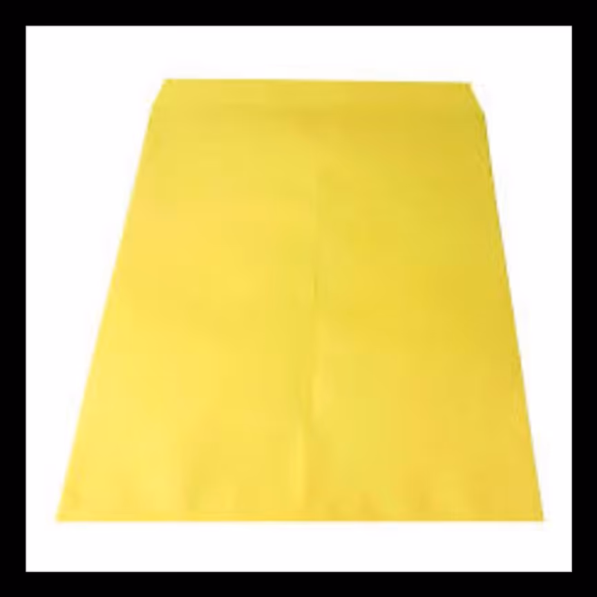 پاکت آ 3 زرد بسته  50 عددی 