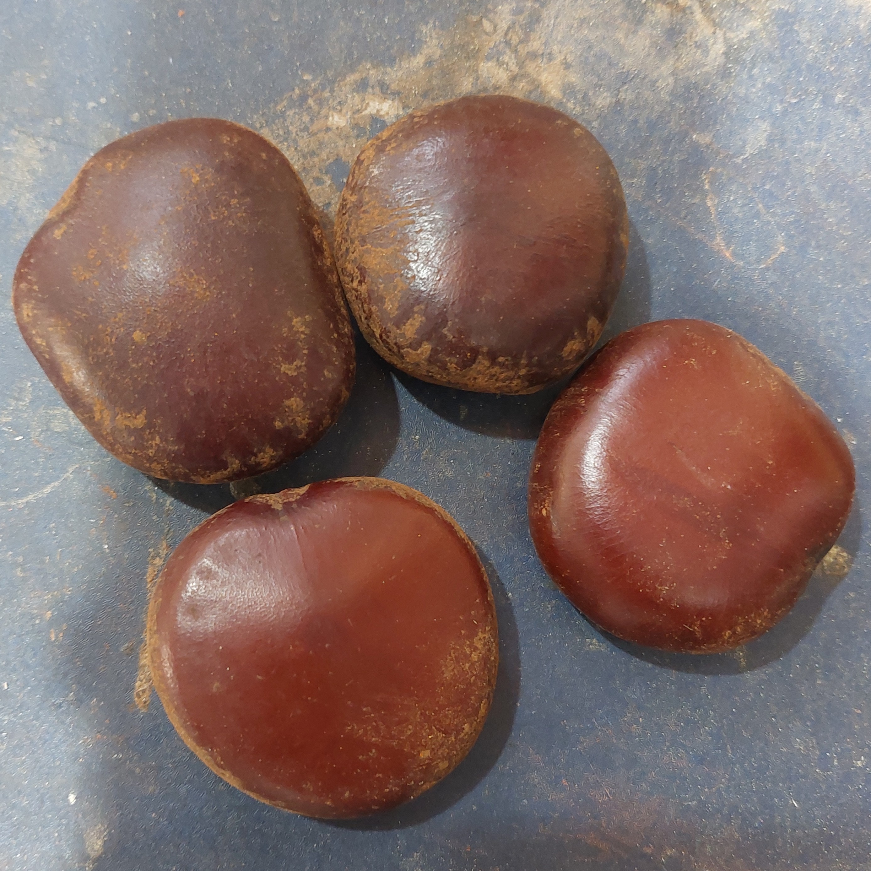 گیاه قرص  کمر (80گرمی)