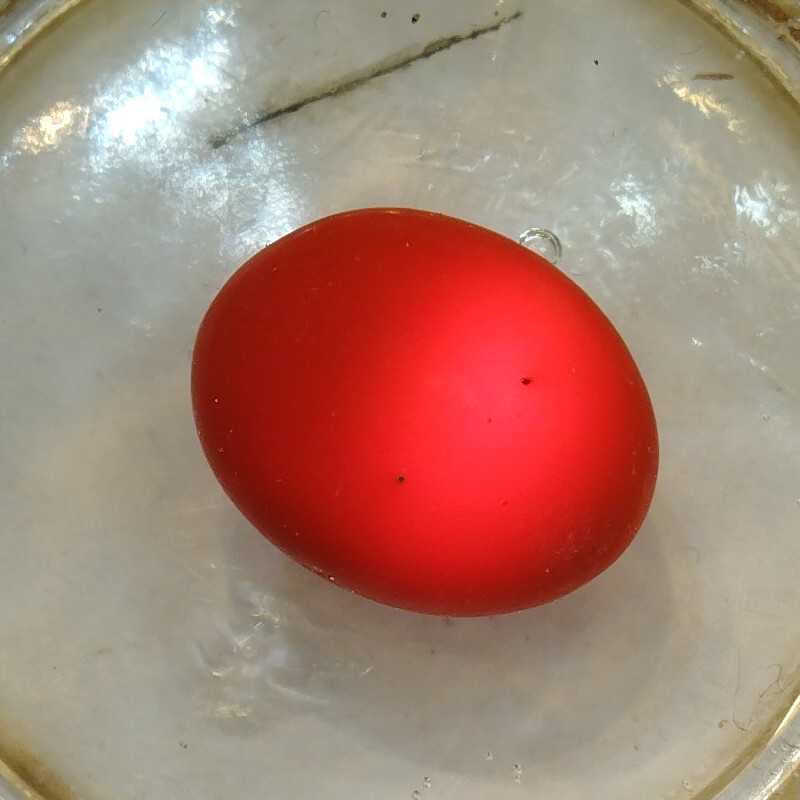 سنگ مرجان دریایی اصلی نور دار