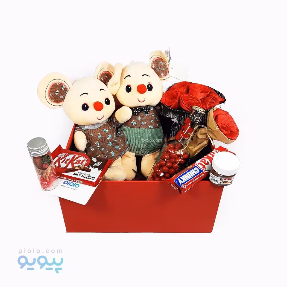 کادو ولنتاین با عروسک زوج موش