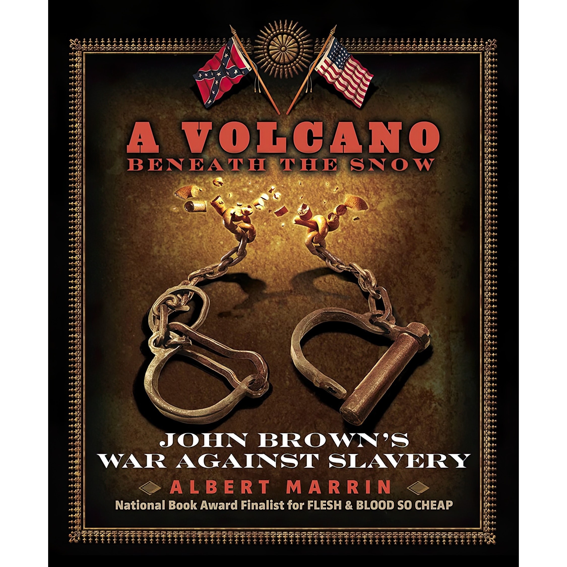 کتاب زبان اصلی A Volcano Beneath the Snow اثر Albert Marrin