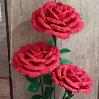 گل فوم قرمز 3شاخه