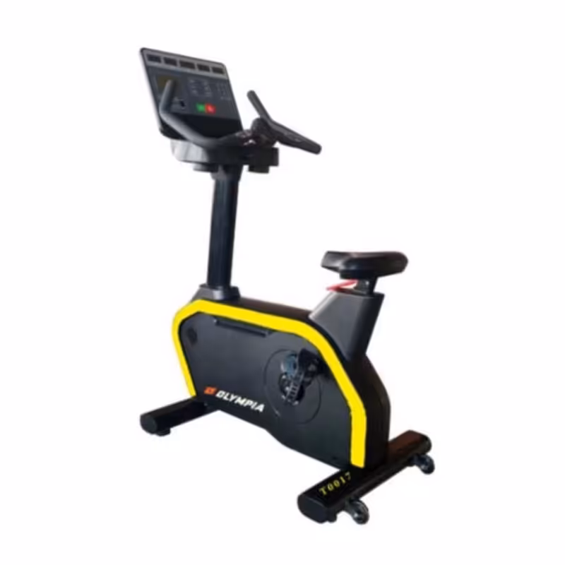 دوچرخه ثابت ایستاده باشگاهی المپیا مدل T0017
