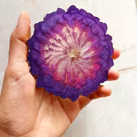 زیرلیوانی تمام  رزینی