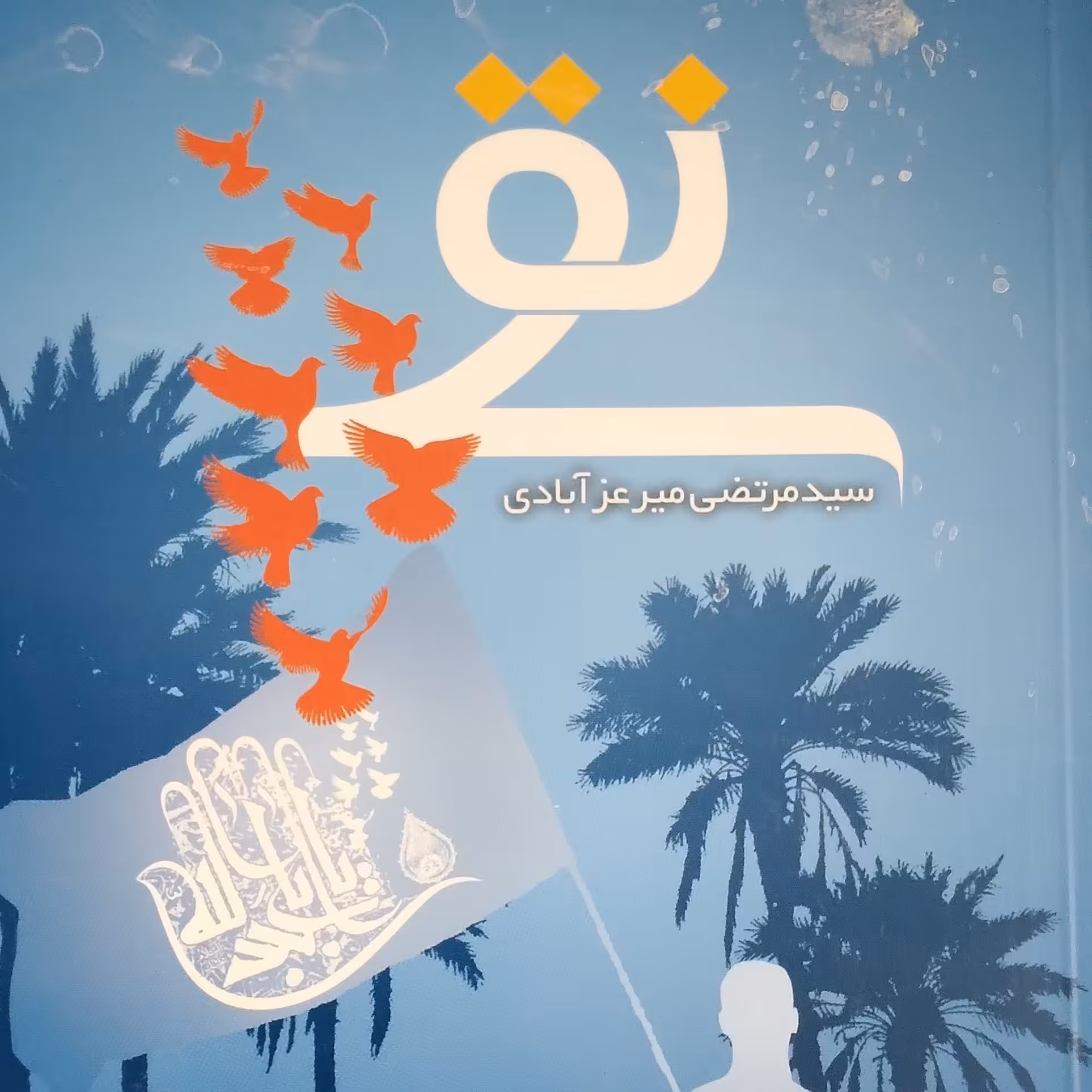 نقی نویسنده سیدمرتضی میر عزآبادی