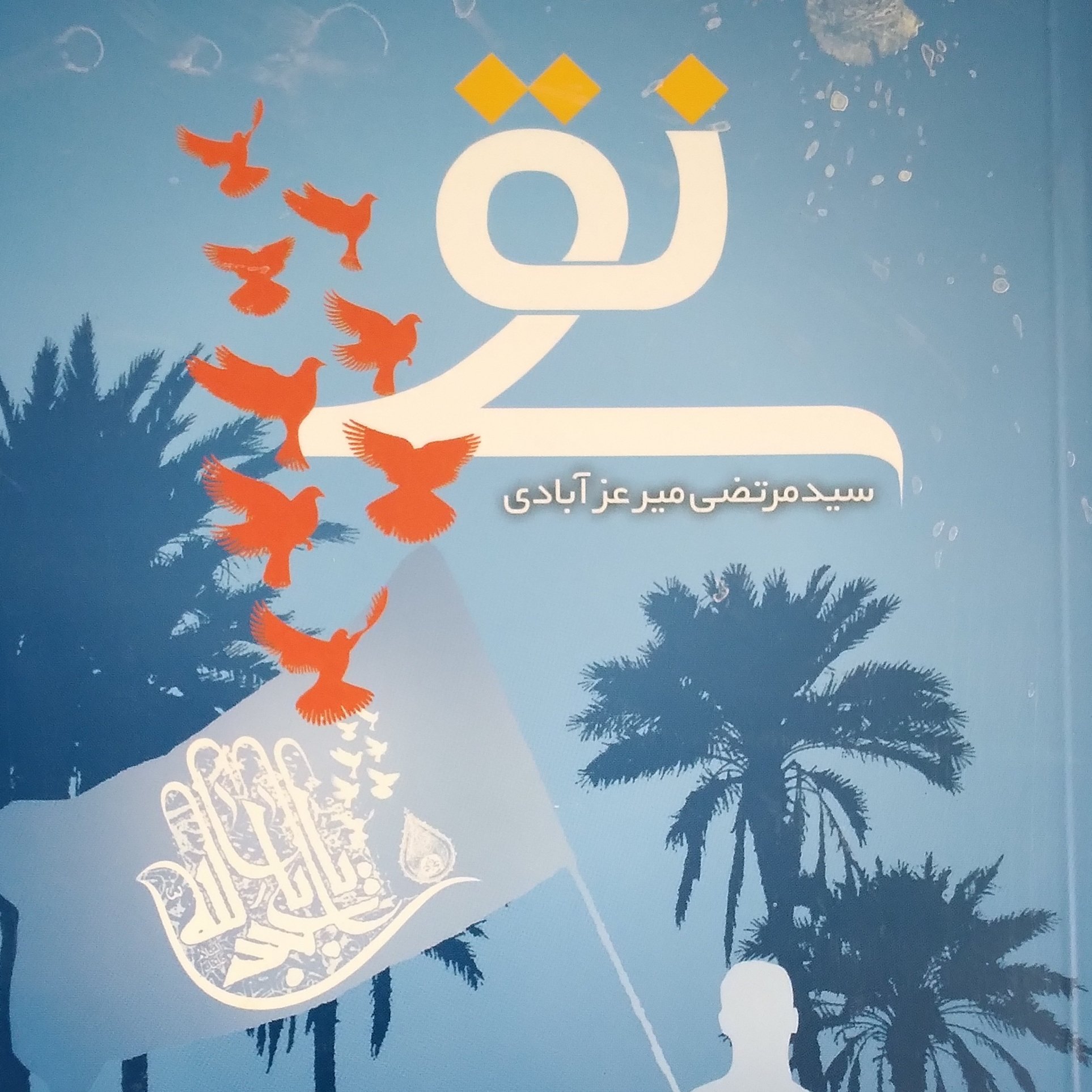 نقی نویسنده سیدمرتضی میر عزآبادی
