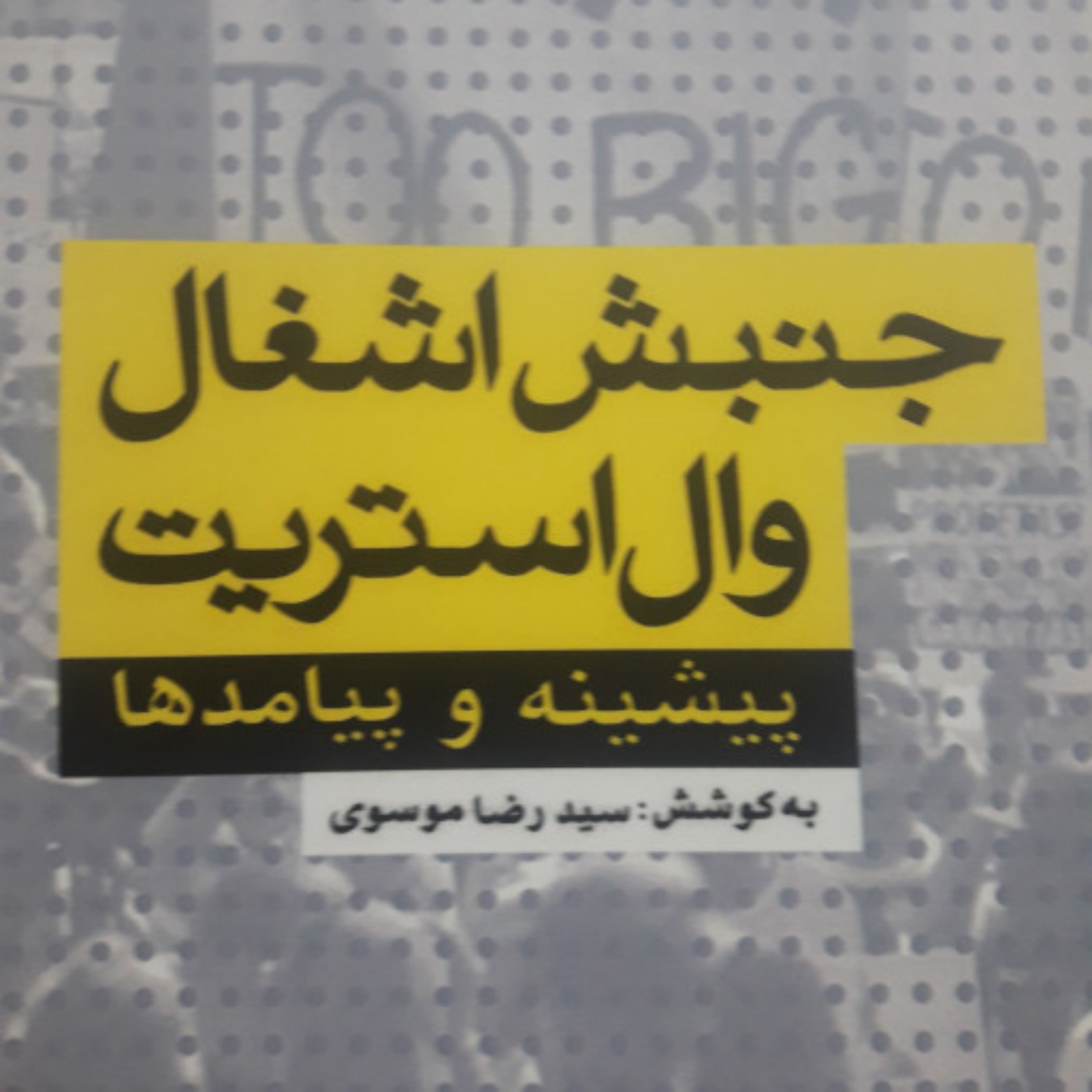 کتاب جنبش اشغال وال استریت