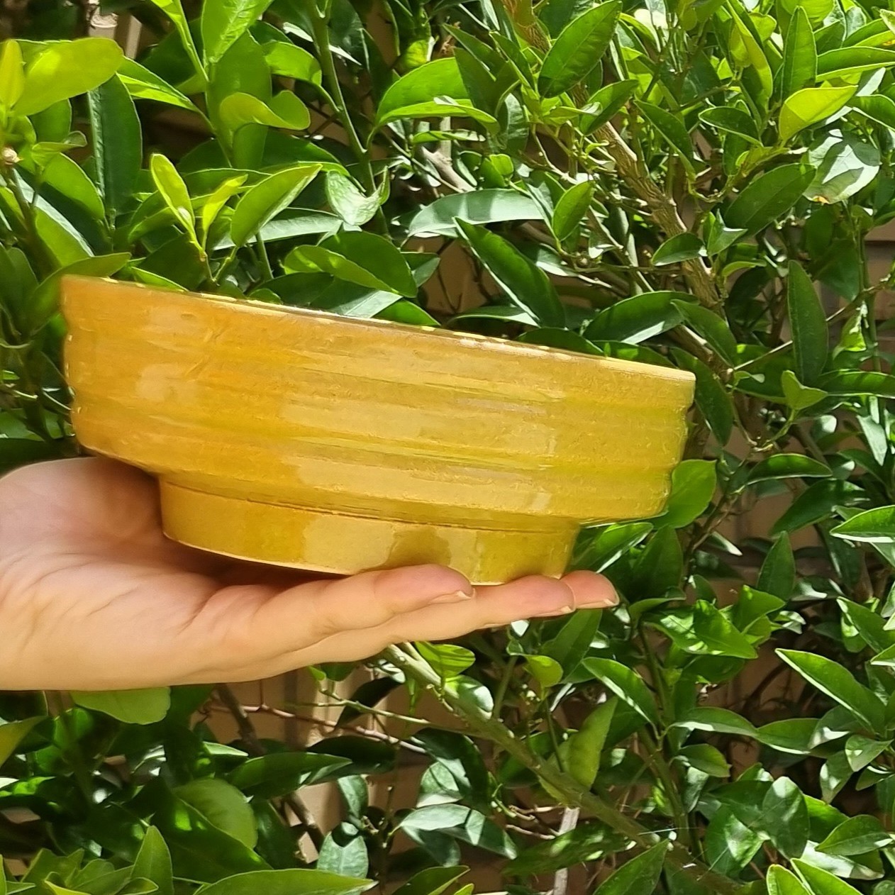 کاسه طرح دار سفالی