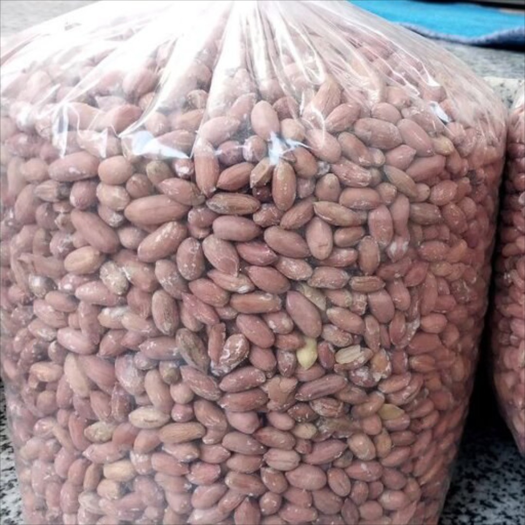 بادام زمینی  درشت محلی آستانه  اشرفیه  