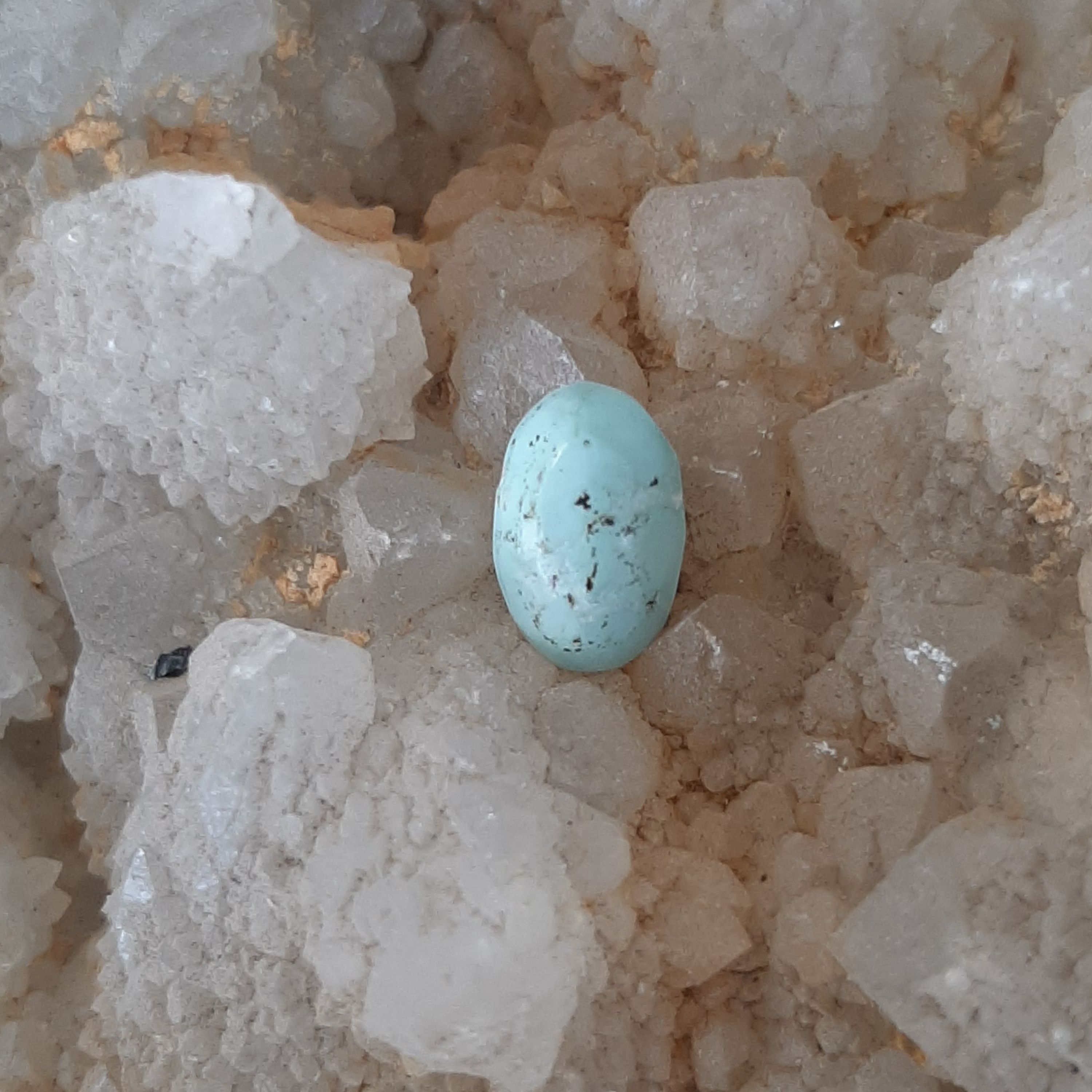 نگین فیروزه کد 1165