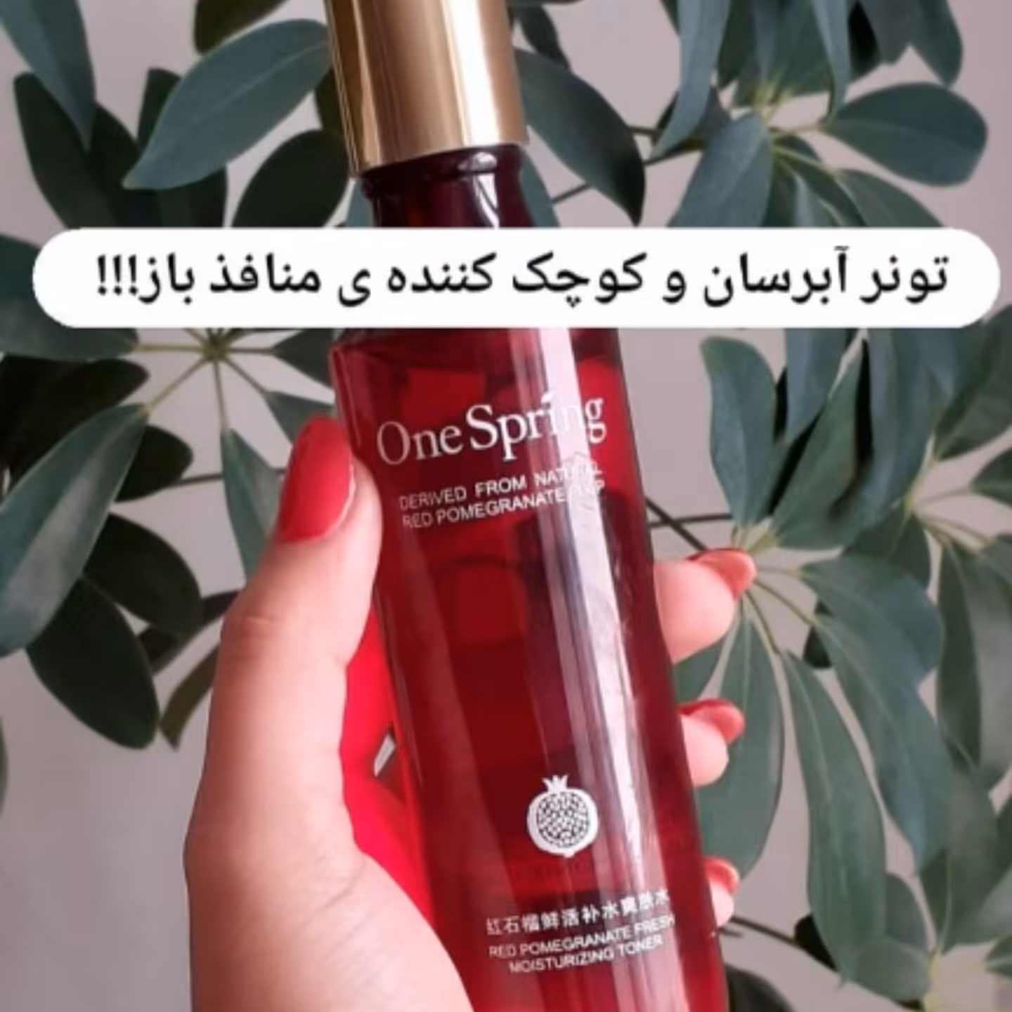 تونرانار وان اسپرینگ 