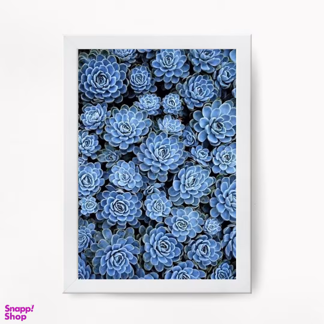 تابلو مدل کاکتوس آبی