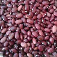 لوبیا قرمز ایرانی درشت با وزن 900گرم و ارسال رایگان 