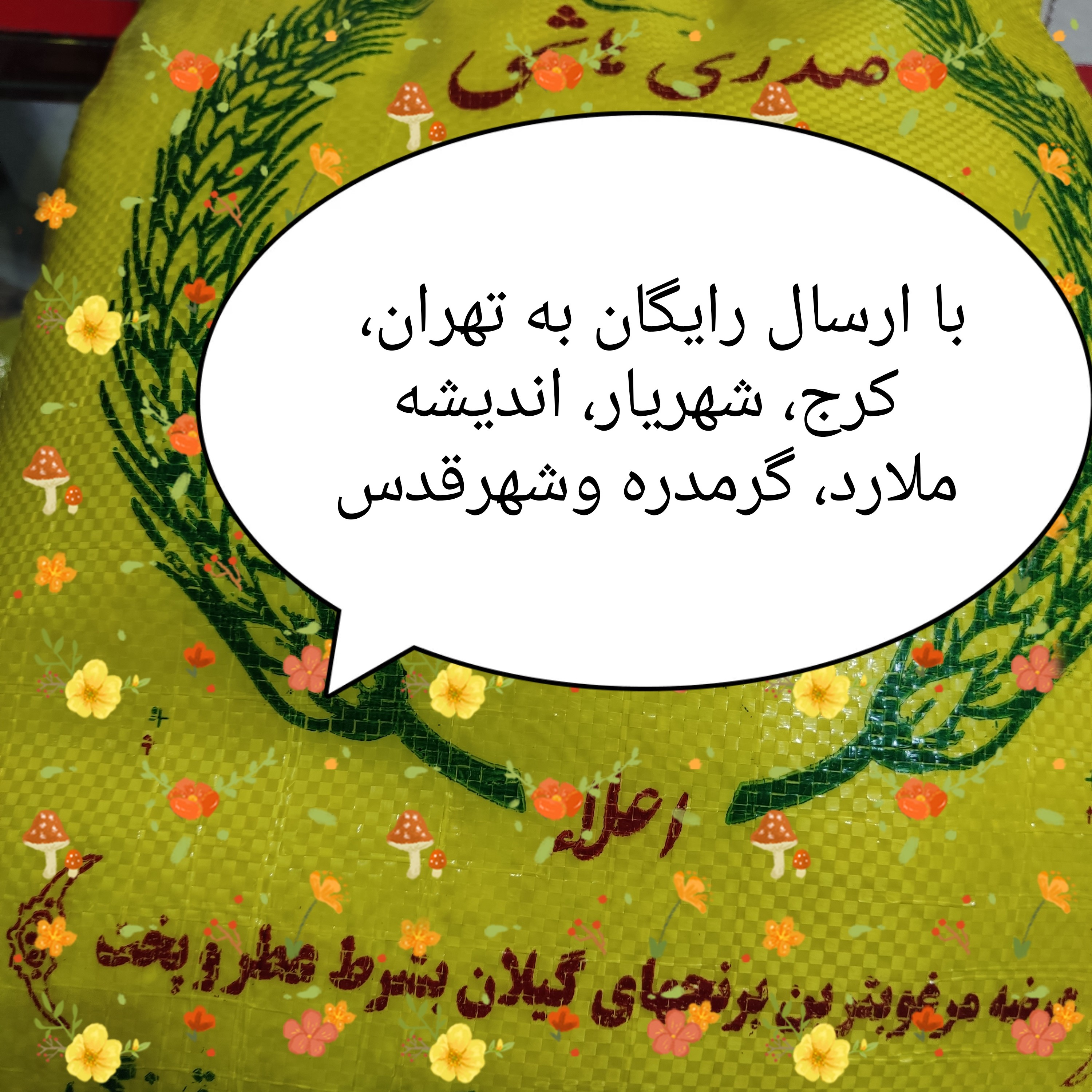 برنج هاشمی درجه یک گیلان جداسازی شده بهترین برنج با ری فراوان عالی بسیار خوش پخت با ارسال پسکرایه به سرتاسر ایران