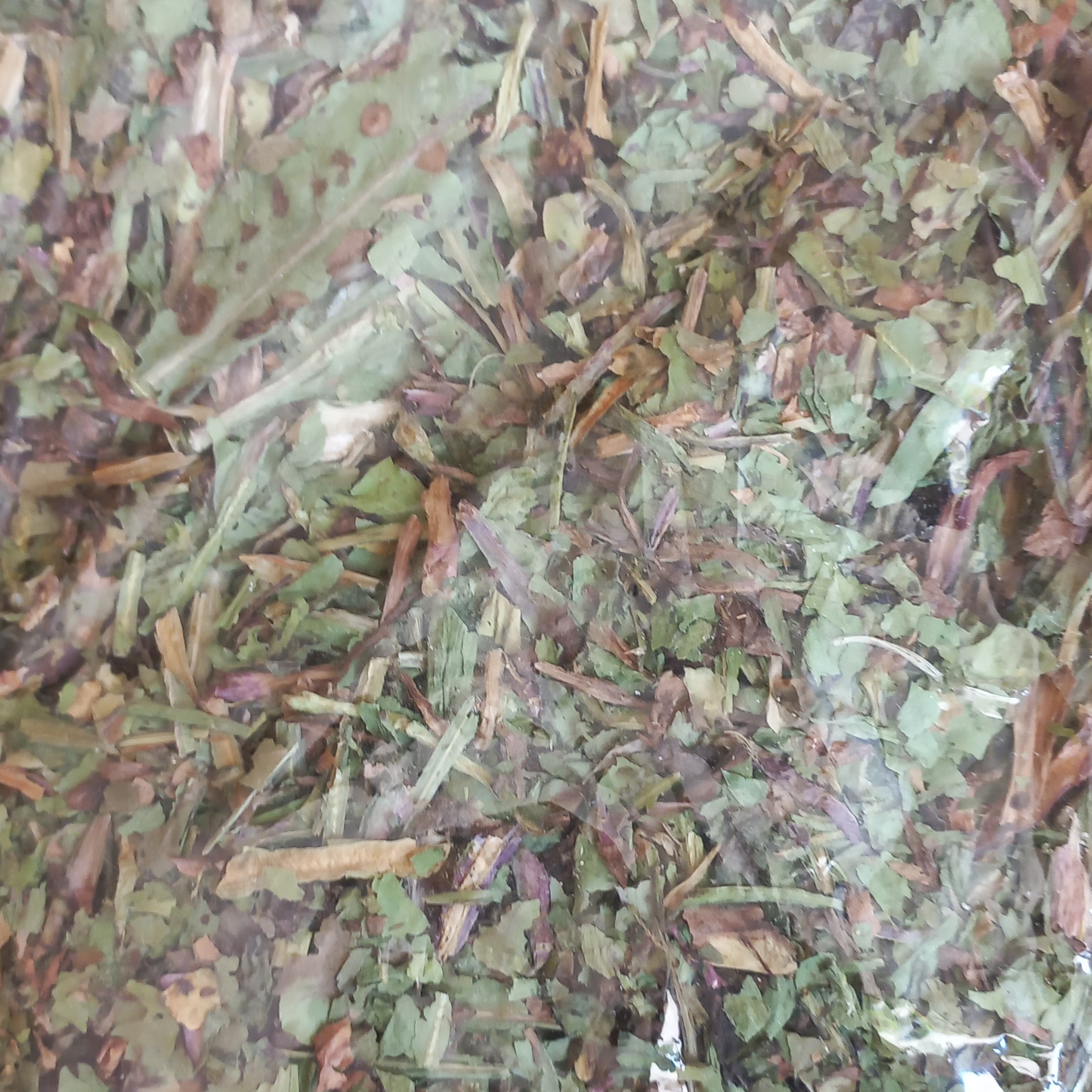 برگ چغندر