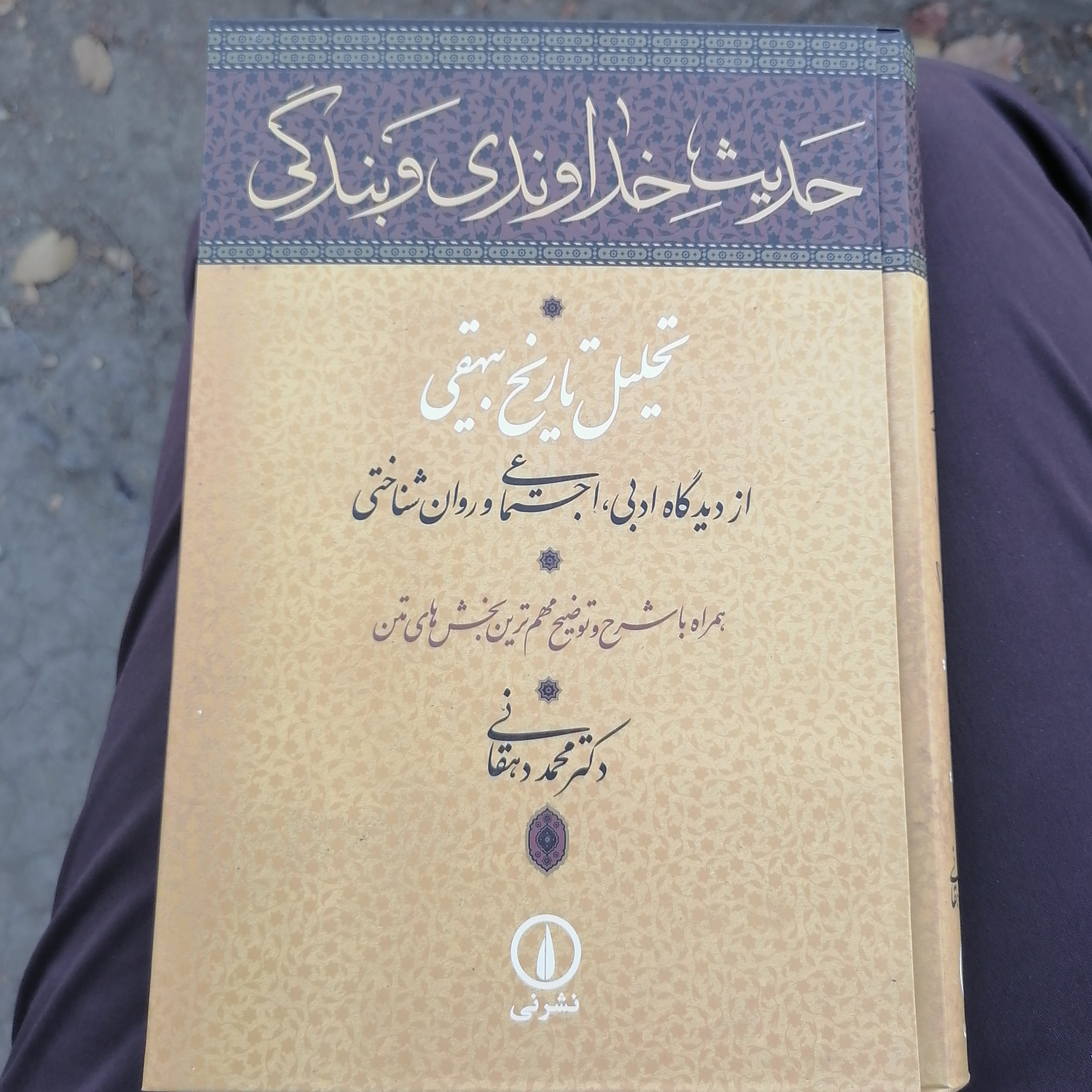 کتاب حدیث خداوندی و بندگی نوشته محمد دهقانی نشر نی