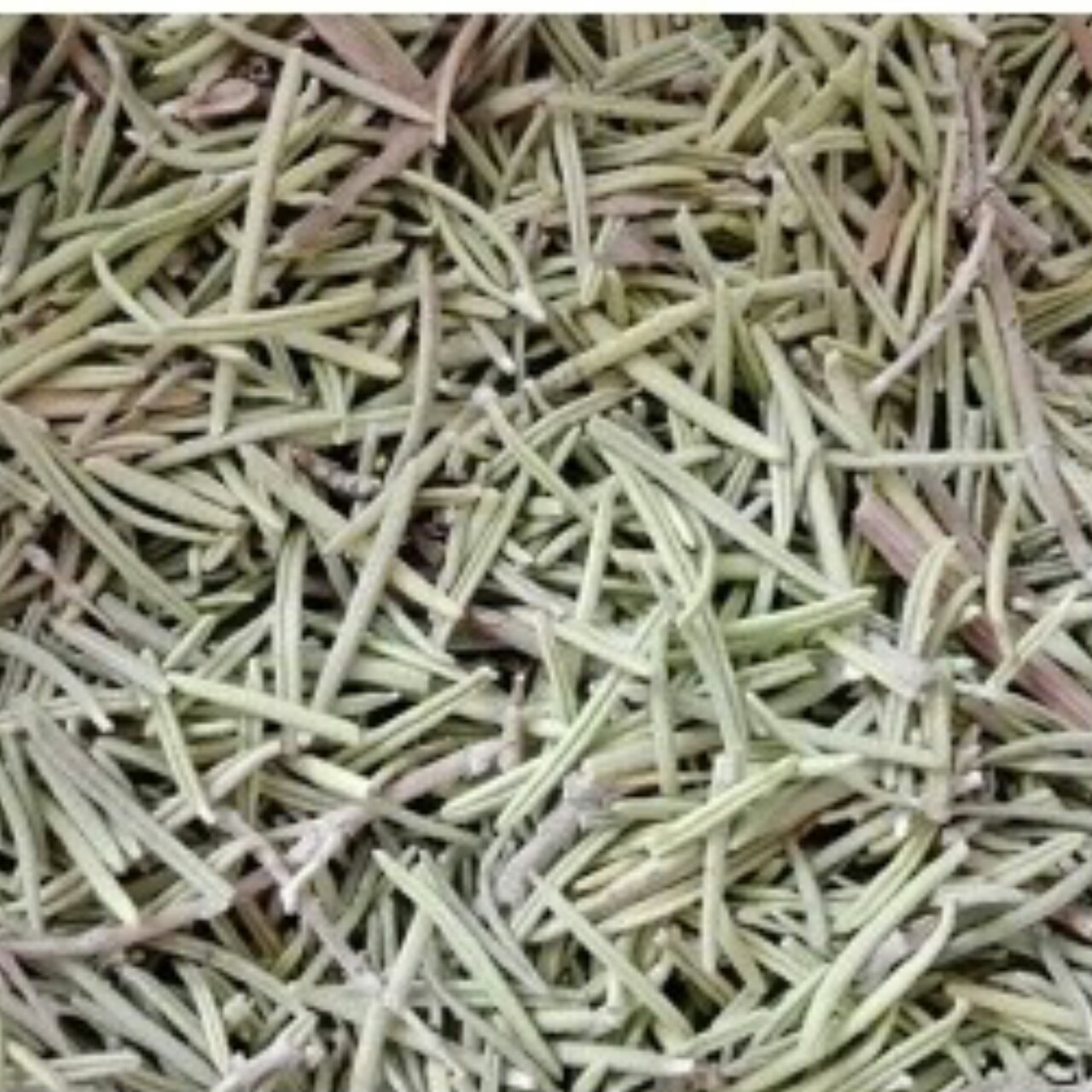 برگ رزماری 50 گرم 