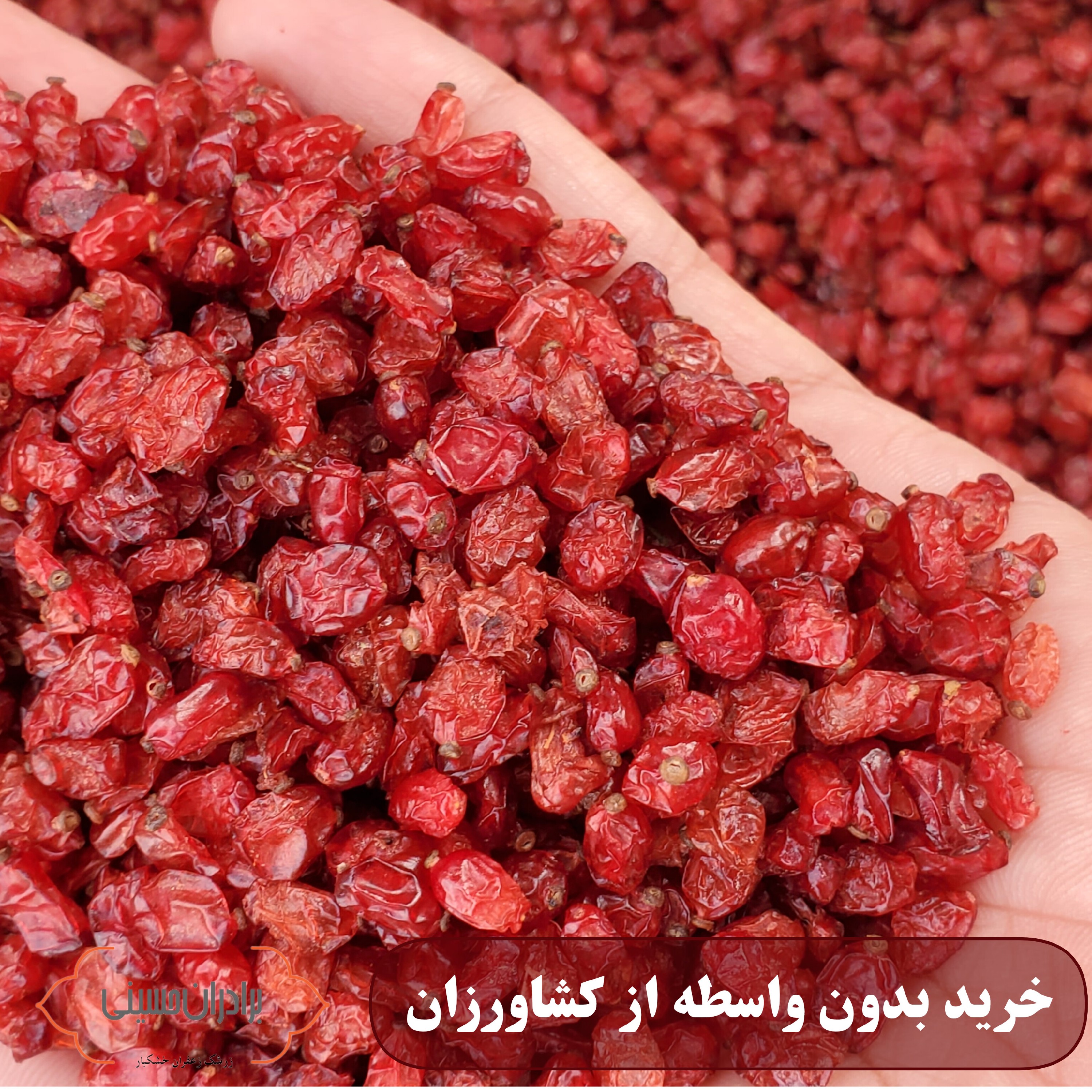 زرشک دونه اناری لوکس برادران حسینی   یک کیلویی (تضمین کیفیت و ضمانت بازگشت محصول )