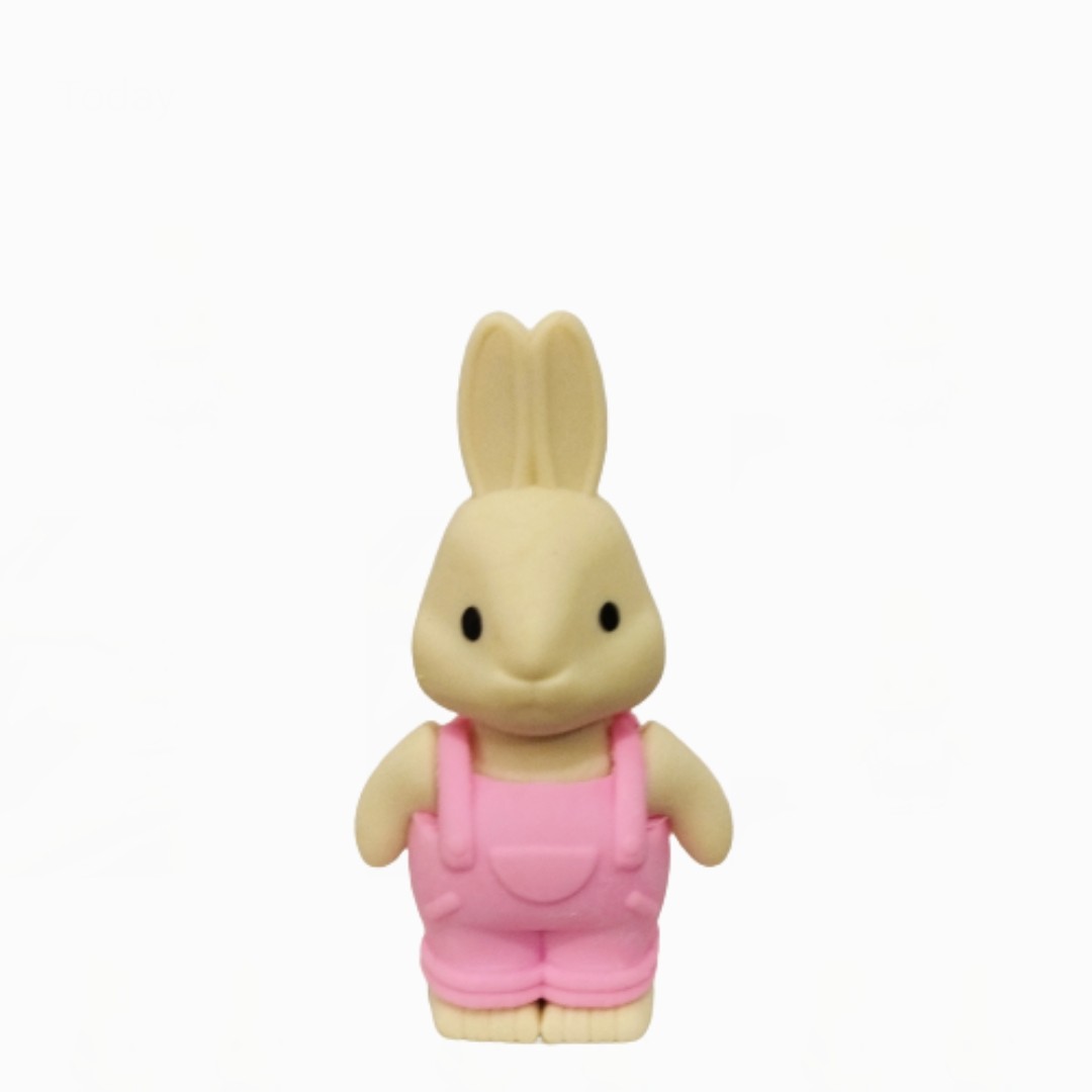 پاک کن فانتزی طرح خرگوش 