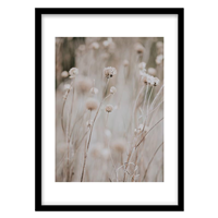 قیمت و خرید تابلو دکوراتیو مدل عکاسی کلوزآپ گل سفید کد 1259