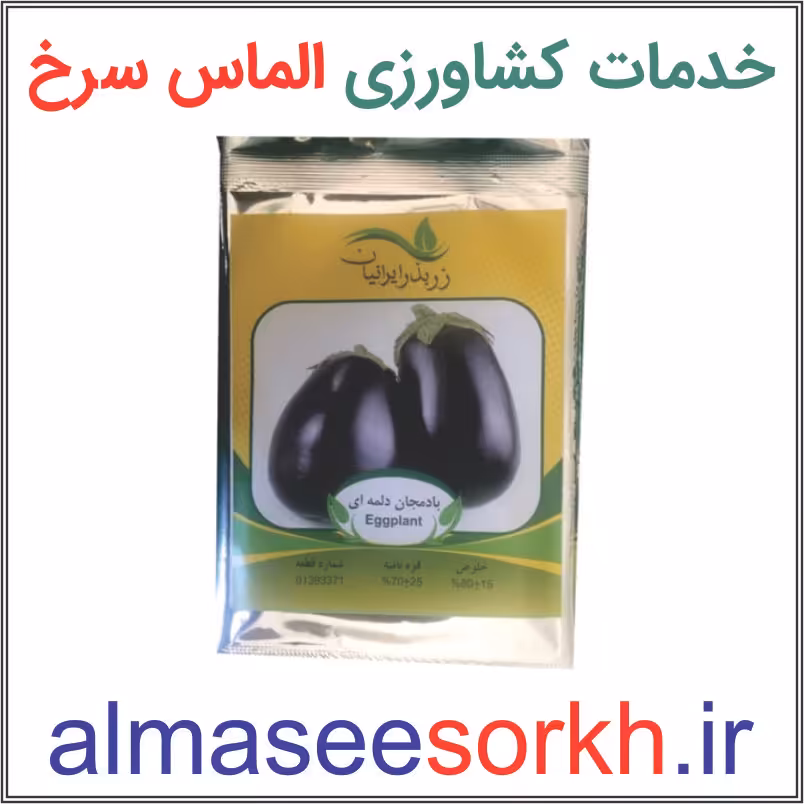 بذر بادمجان دلمه ای زر بذر ایرانیان | گیاه پزشکی الماس سرخ