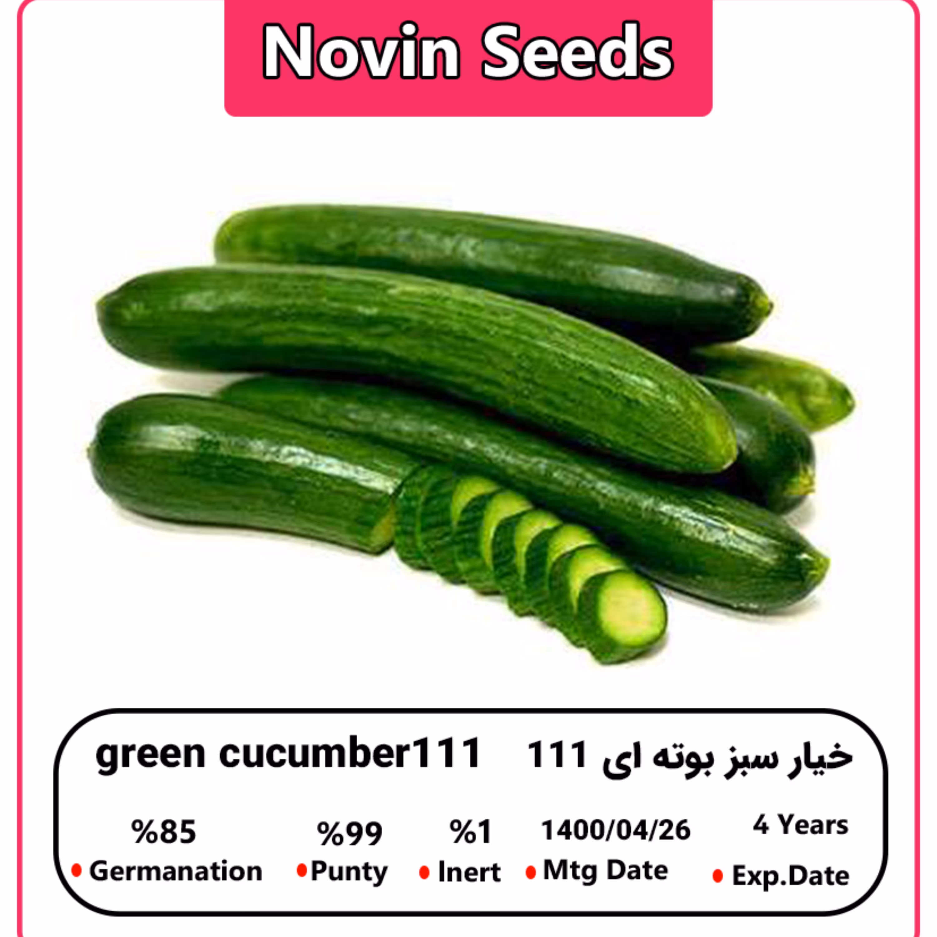 بذر خیار سبز بوته ای 111