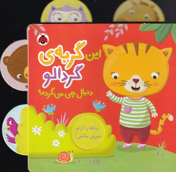 کتاب این گربه ی گردالو دنبال چی می گرده