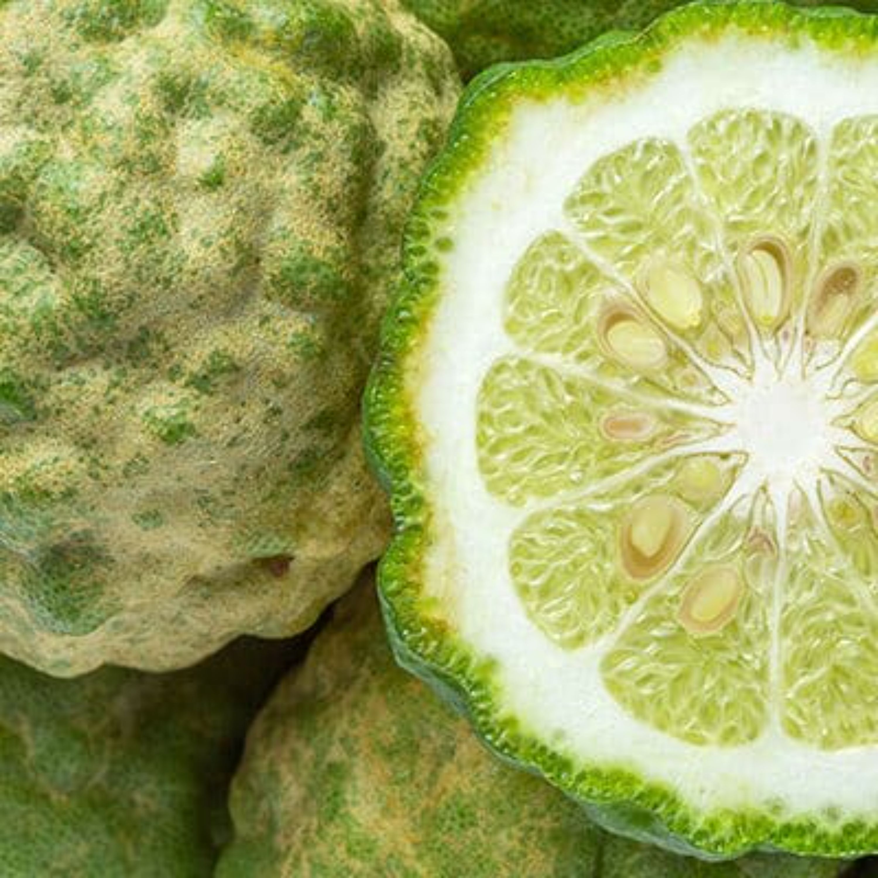 اسانس برگاموت گرانولی برند آلمانی در بسته 100 گرمی