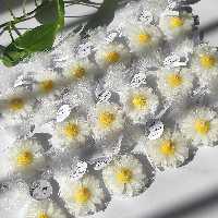 گیفت عروسی شمع گل بابونه