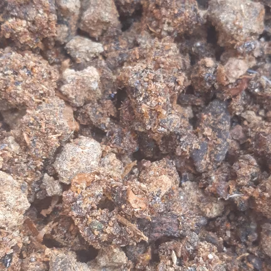 مقل ارزق اصل 500گرمی