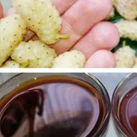 شیره اعلا توت ممتاز فدک (1کیلو)
