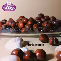 فندق ممتاز (عرضه مستقیم از باغات اشکور)