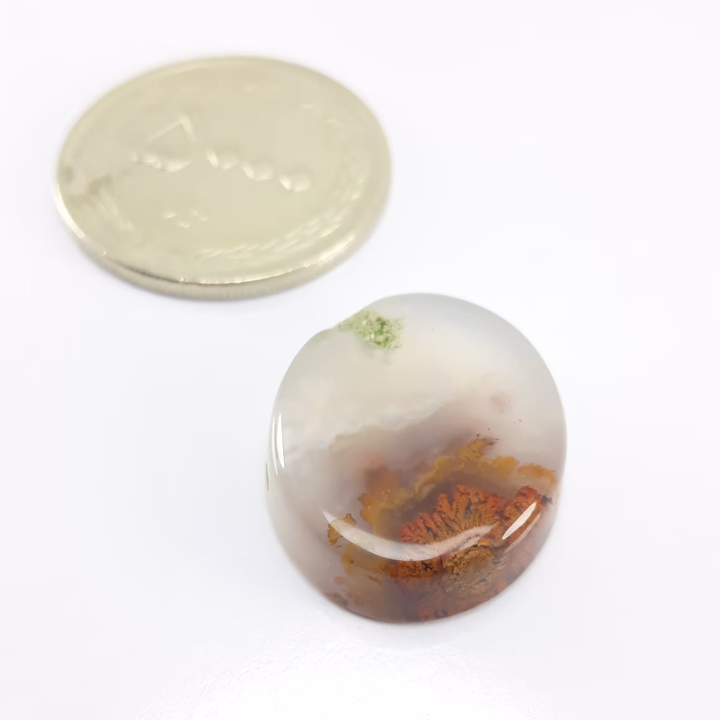 سنگ شجر دریایی به ضمانت معدنی 