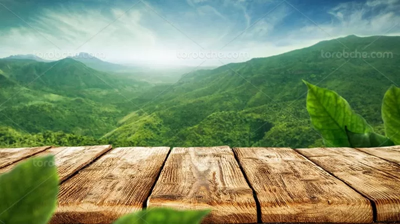 بک گراند چوبی و طبیعت | گرافیک با طعم تربچه