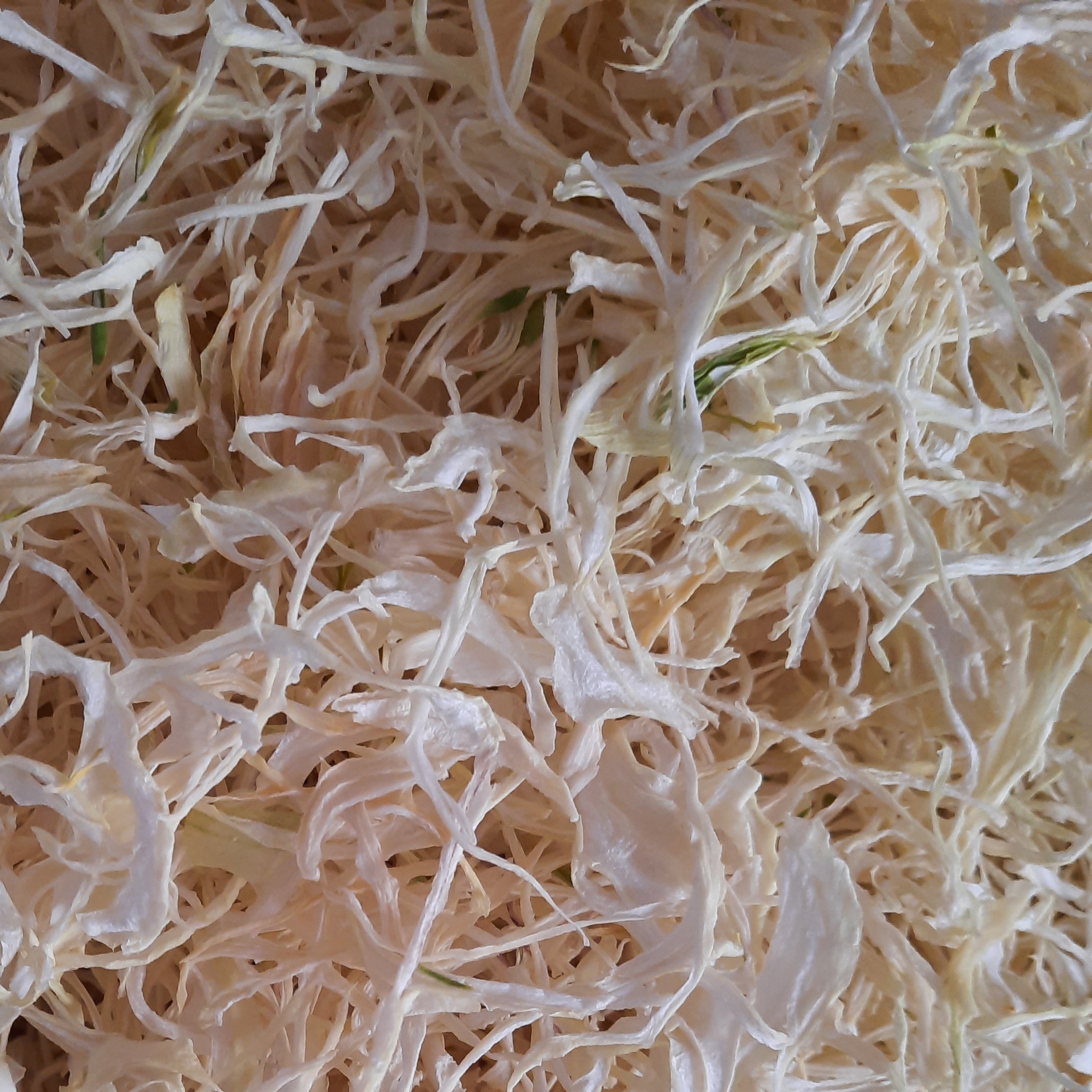 پیاز خشک شده خلالی 