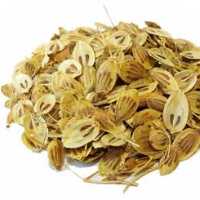 گلپرساده 250 گرمیKFC