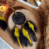 دریم کچر عنکبوتی-آویزماشین و اتاق