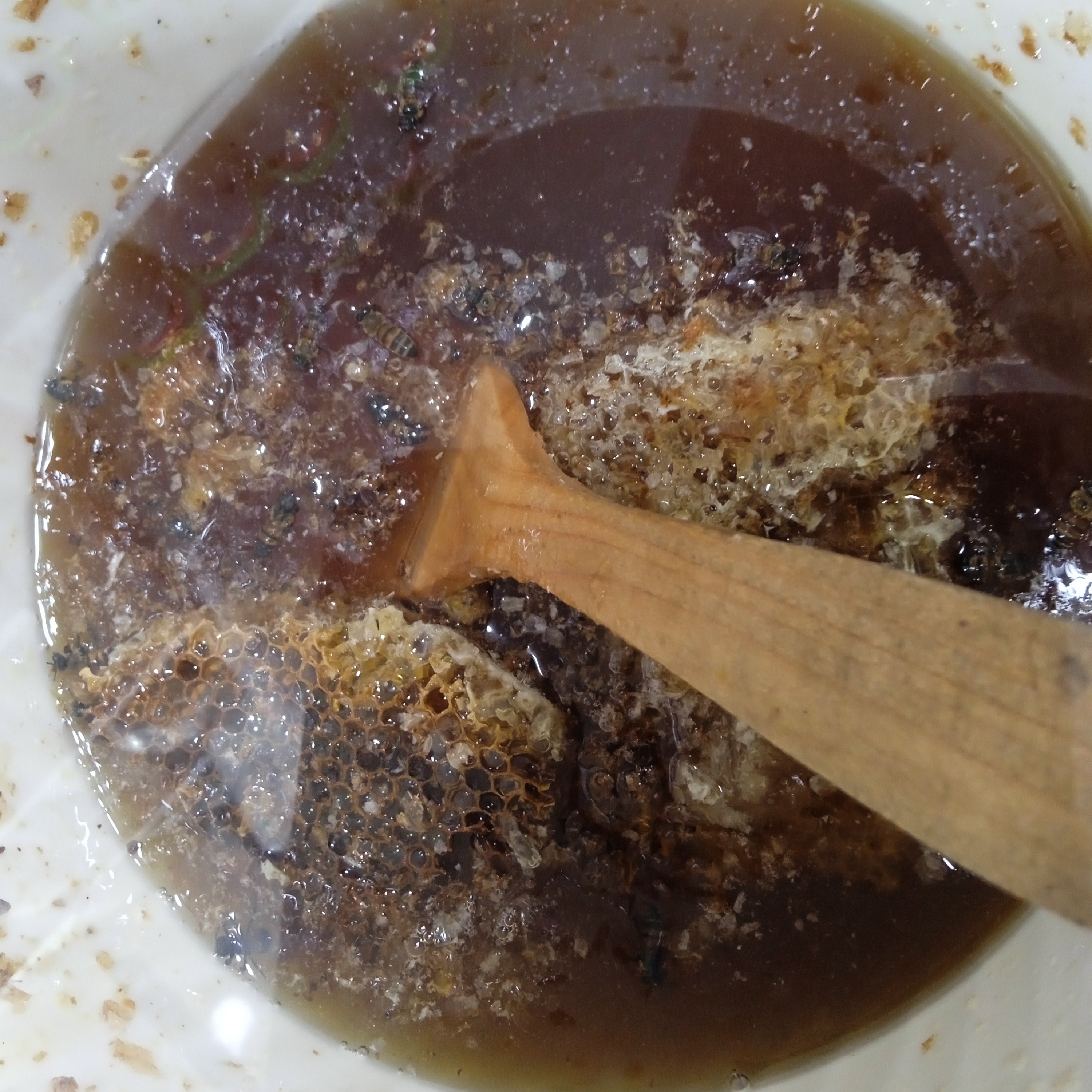 عسل وحشی کوهستان های کوردستان