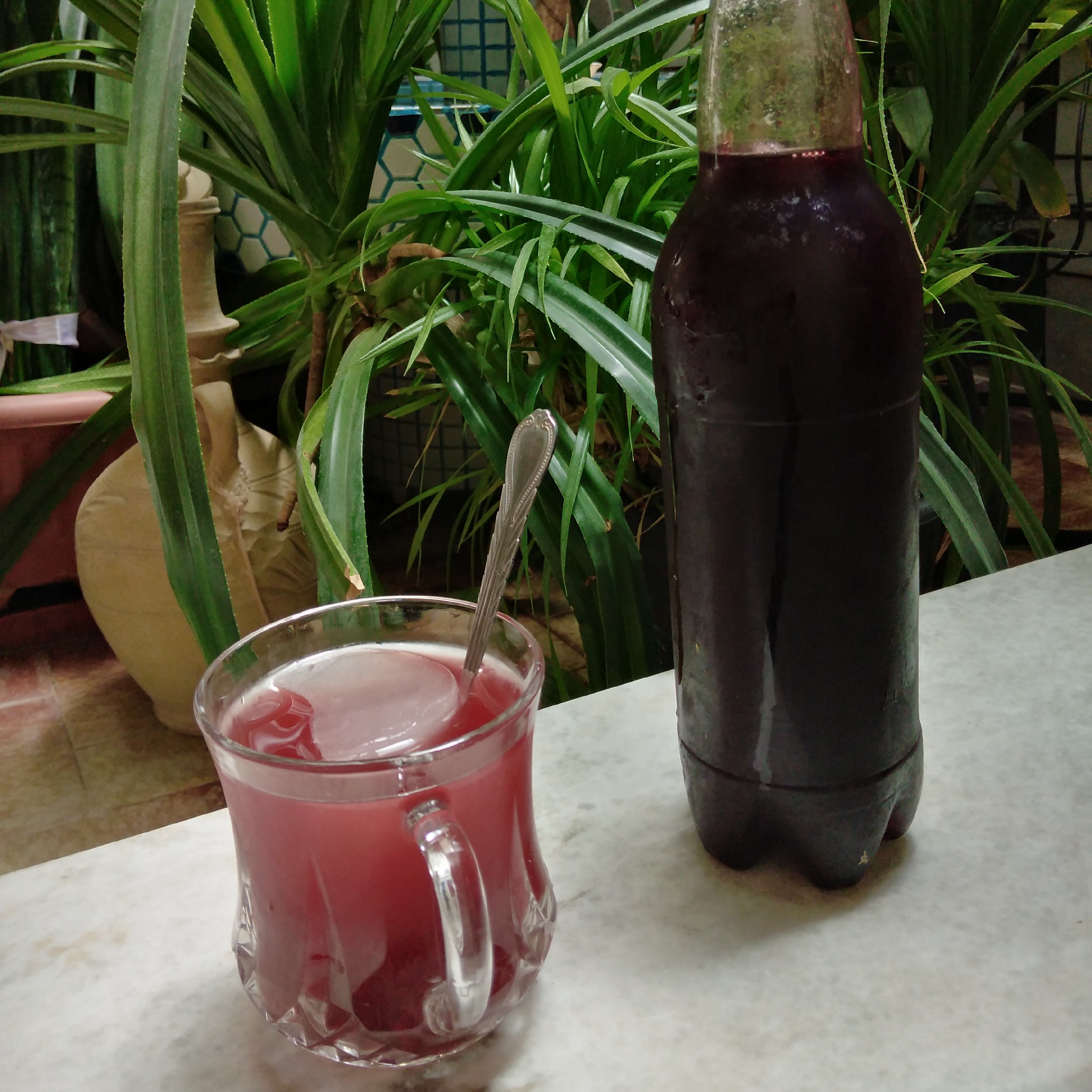 شربت آلبالو خانگی خوشمزه ، 1500 گرم