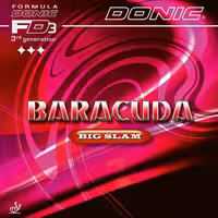 باراکودا بیگ اسلم