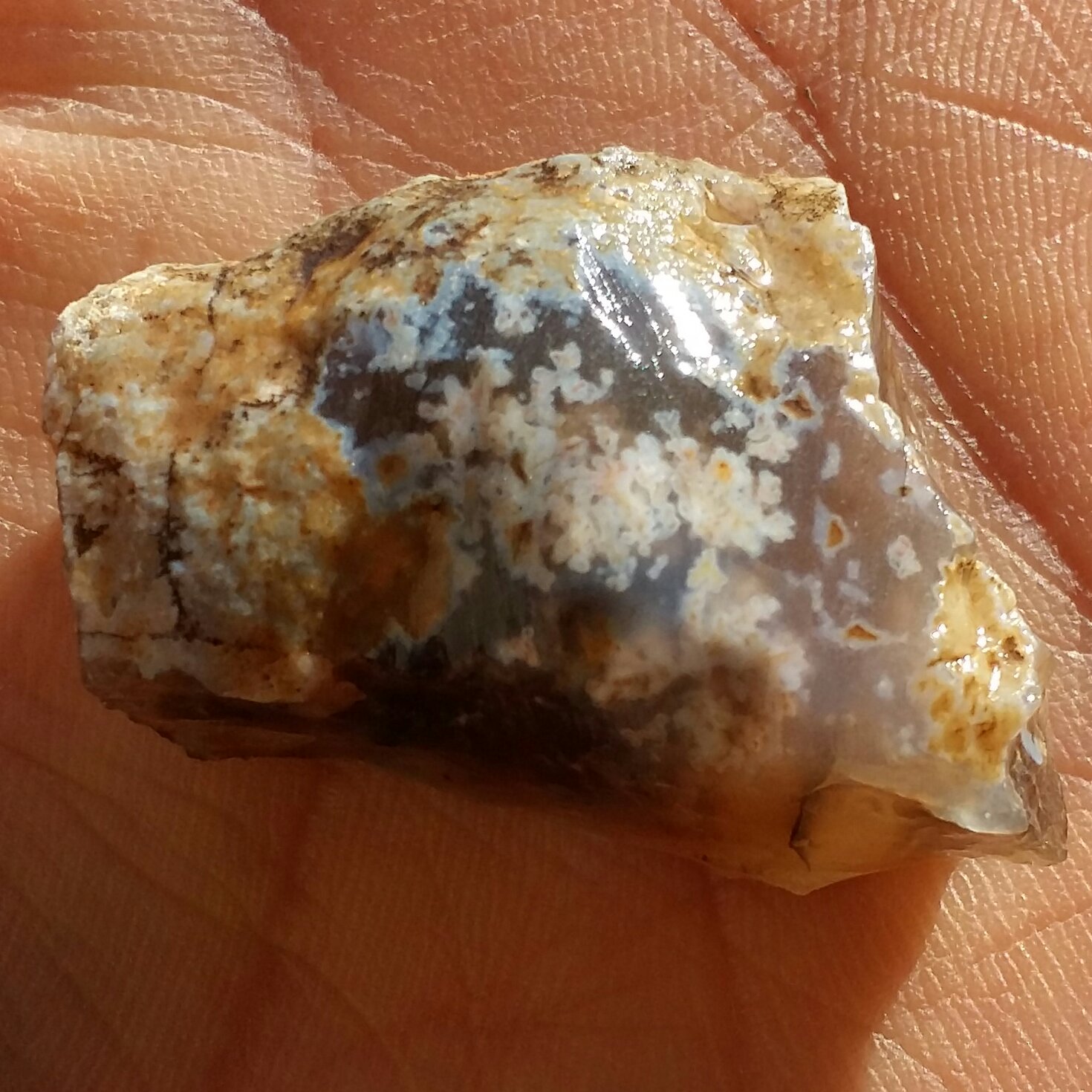 سنگ راف حبه شده شجر شکوفه  هفت رنگ محشر 100 در صد طبیعی شاااهکار خلقت
تابلو نقاشی طبیعی

