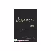 کتاب دختره ی خل و چل اثر محمدرضا شمس