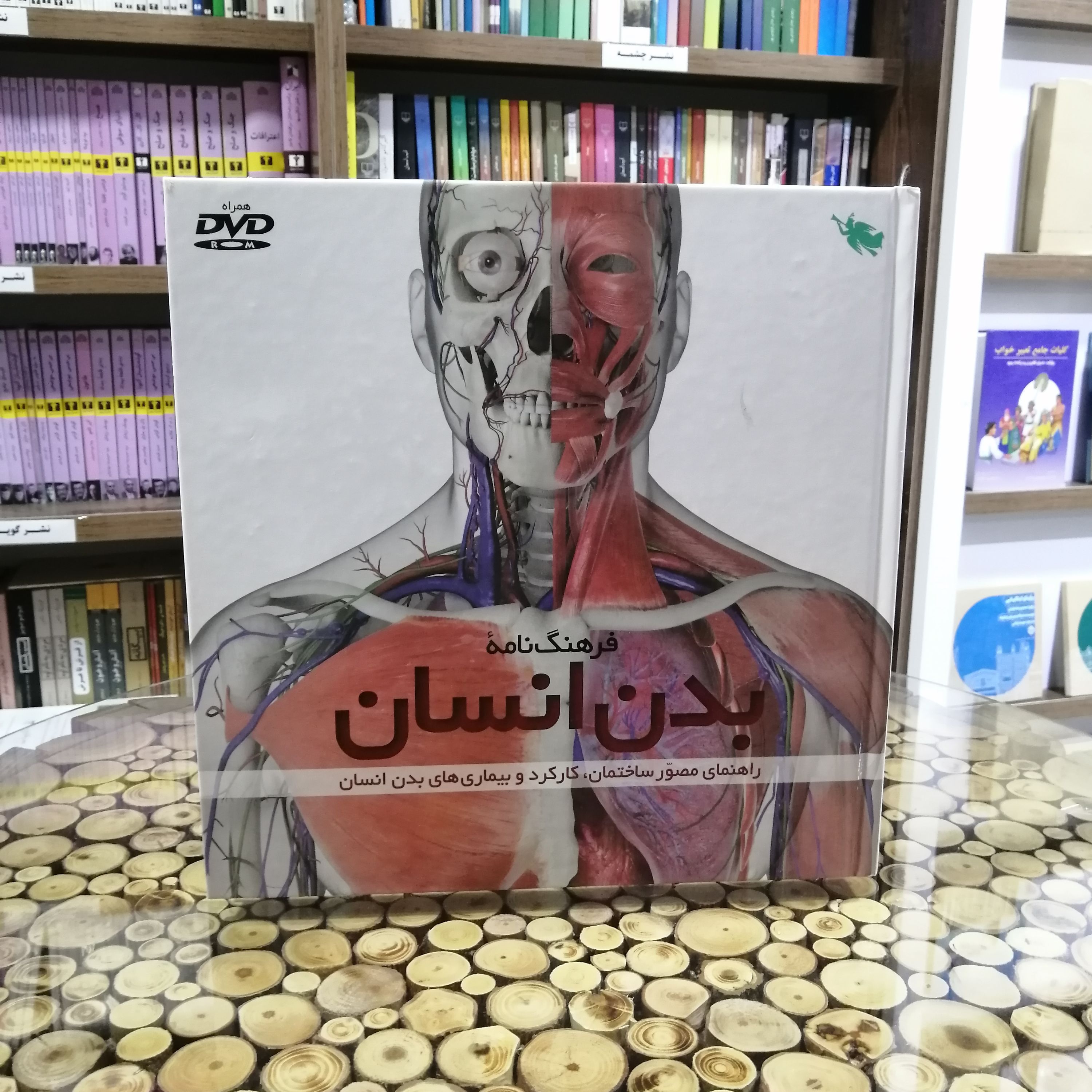 کتاب فرهنگ نامه بدن انسان اثر استیو پارکر نشر طلایی