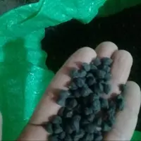 نخود سیاه ارگانیک ارسال رایگان
