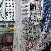 سالیک 6 سینه(11 متر) چشمه 14میل 

