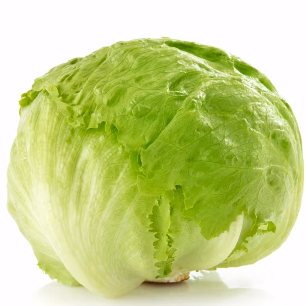 بذر کاهو گرد (70 بذر)