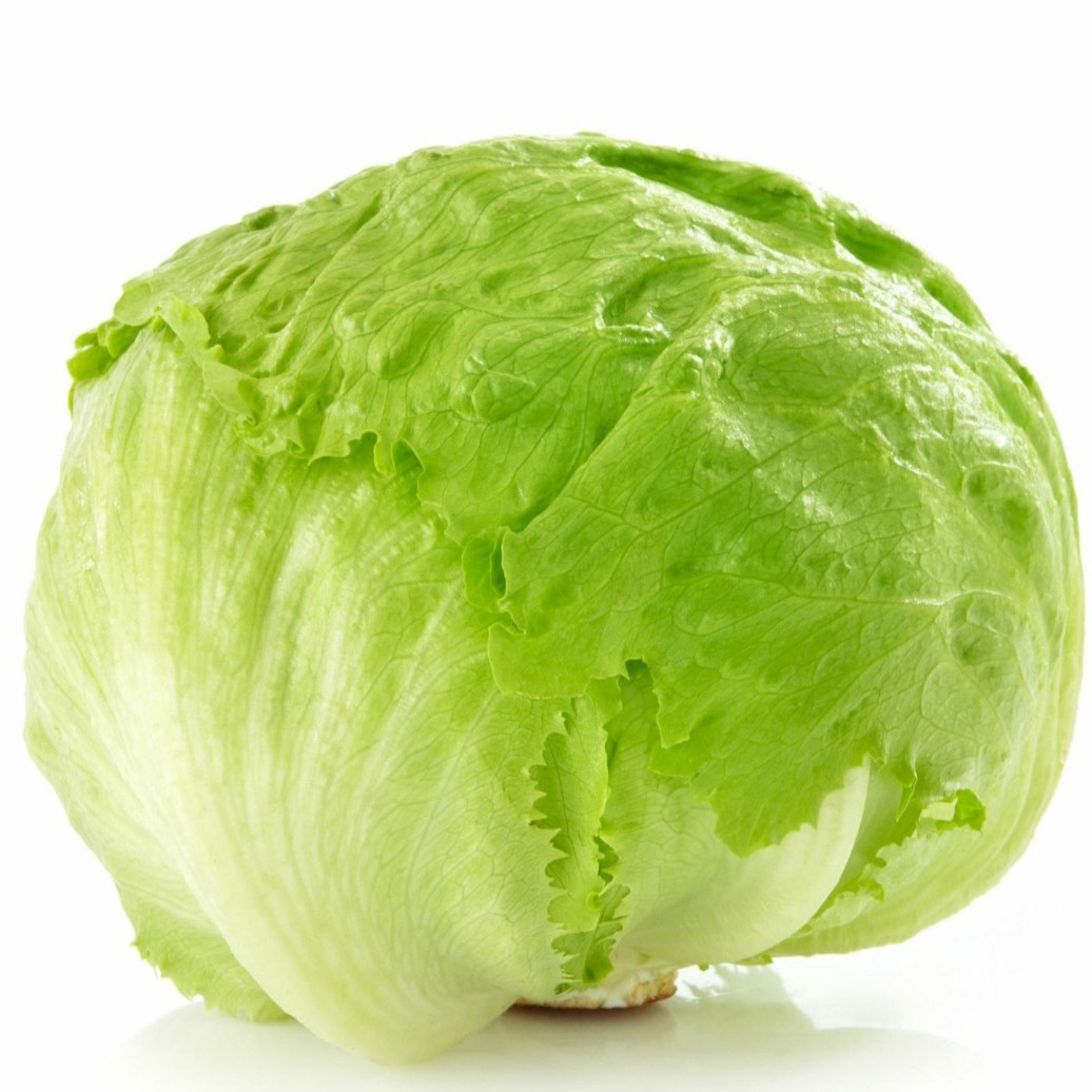 بذر کاهو گرد (70 بذر)