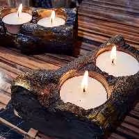 جاشمعی درختی 